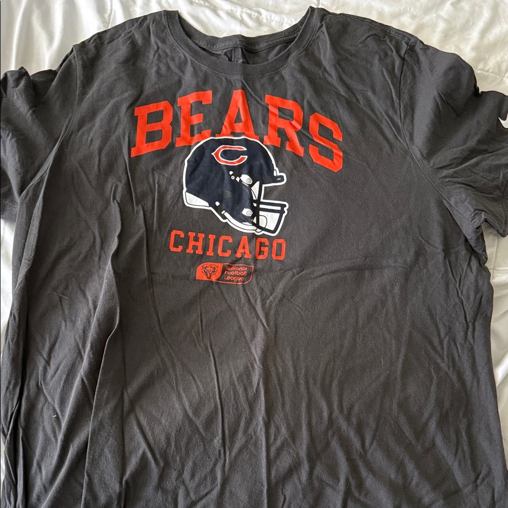 Bears Graphic Gray T-Shirt